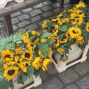 Meet your Posher, Mahu